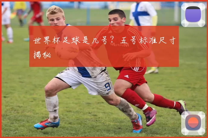 世界杯足球是几号？五号标准尺寸揭秘