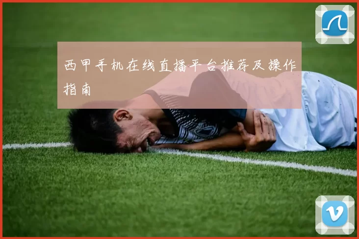 西甲手机在线直播平台推荐及操作指南