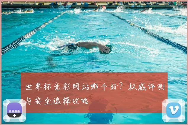 世界杯竞彩网站哪个好？权威评测与安全选择攻略