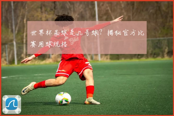 世界杯足球是几号球？揭秘官方比赛用球规格