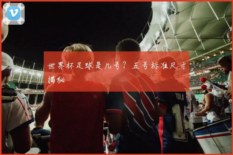 世界杯足球是几号？五号标准尺寸揭秘