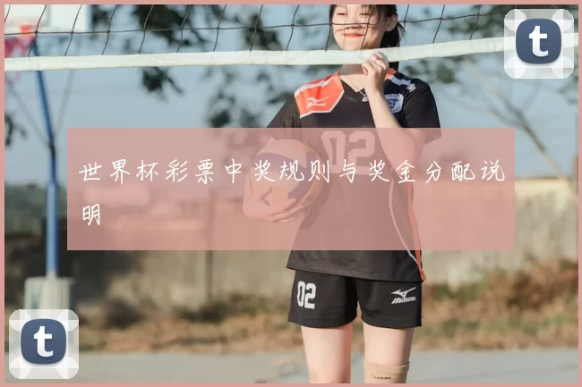 世界杯彩票中奖规则与奖金分配说明