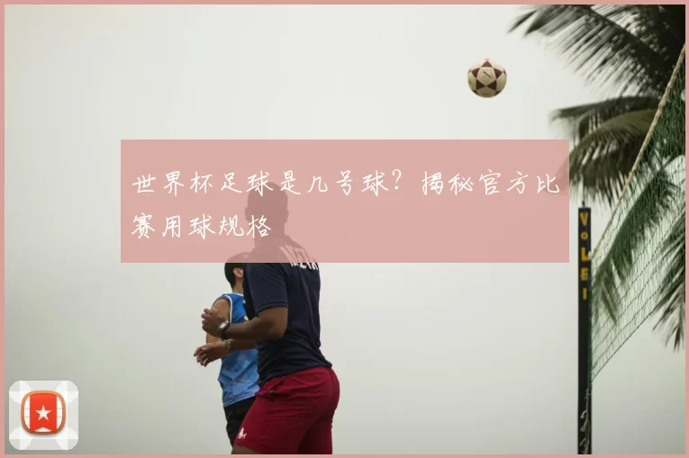 世界杯足球是几号球？揭秘官方比赛用球规格